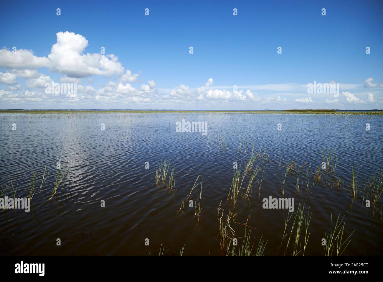 Lago tohopekaliga central florida usa Foto Stock