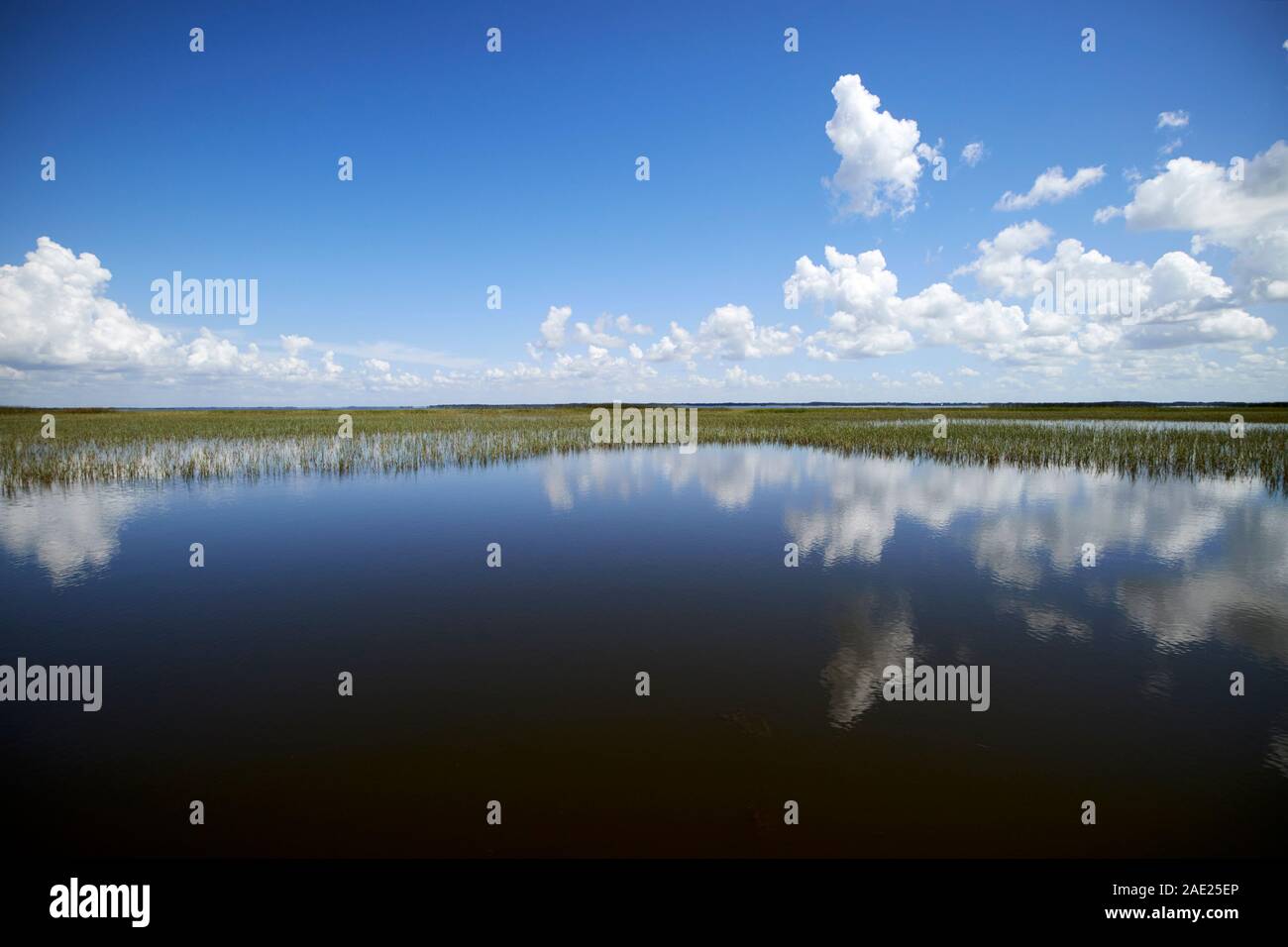 Riflessi nel lago calmo tohopekaliga central florida usa Foto Stock