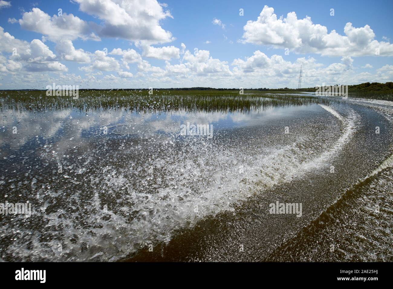 Giro in Airboat wake turbamento nel lago tohopekaliga central florida usa Foto Stock