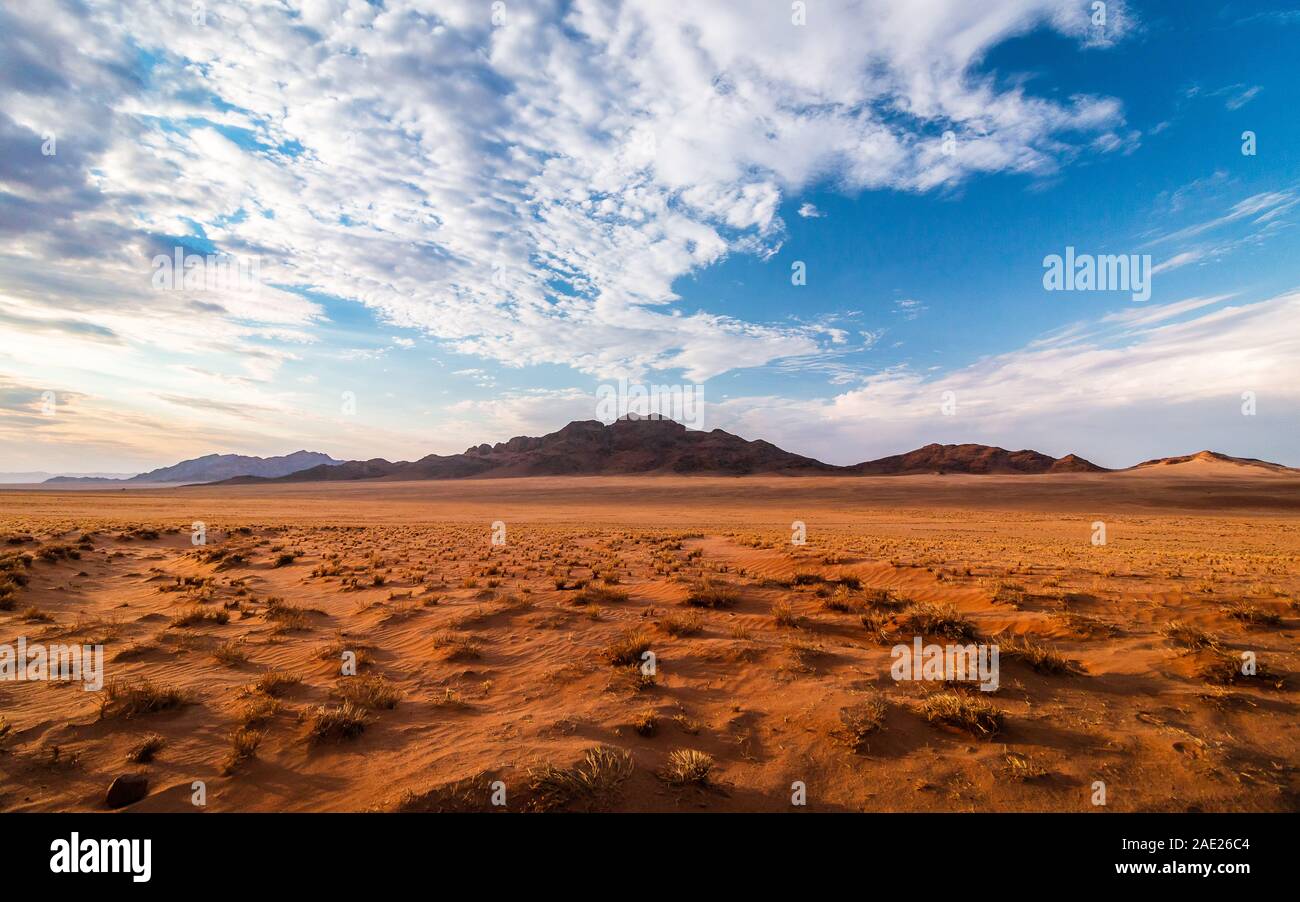 Sundowner presso il deserto del Namib Foto Stock