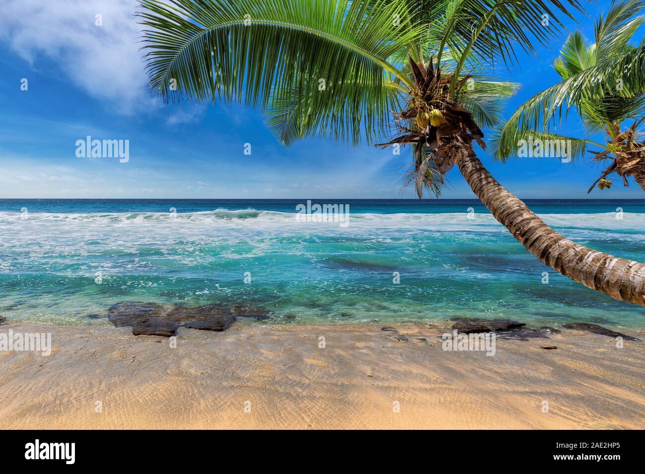 Soleggiata spiaggia tropicale e mare turchese in Paradiso esotico isola. Foto Stock