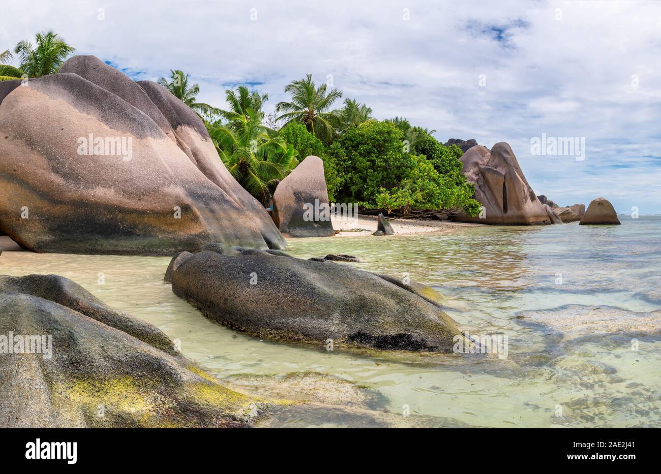 Splendide rocce e palme da cocco sulla spiaggia esotica di La Digue, Seicelle Foto Stock
