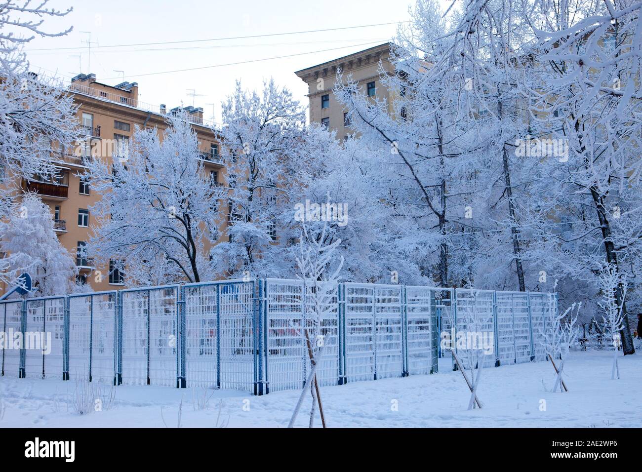 Campo da pallacanestro nel cortile urbano sotto la neve circondato da alberi innevati. San Pietroburgo. La Russia Foto Stock
