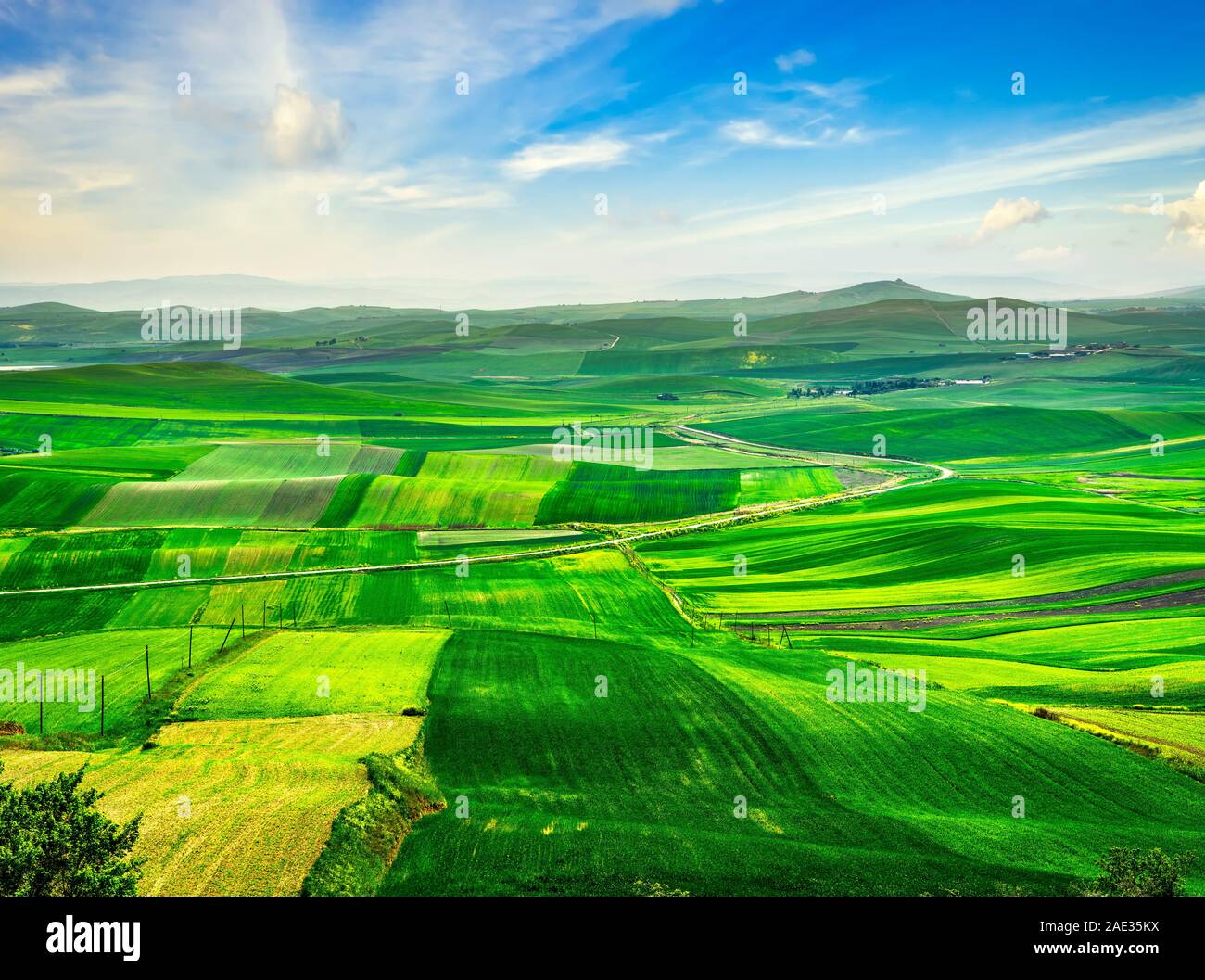 La puglia vista sulla campagna, dolci colline e campi di verde paesaggio. Poggiorsini, Bari, Italia Europa Foto Stock