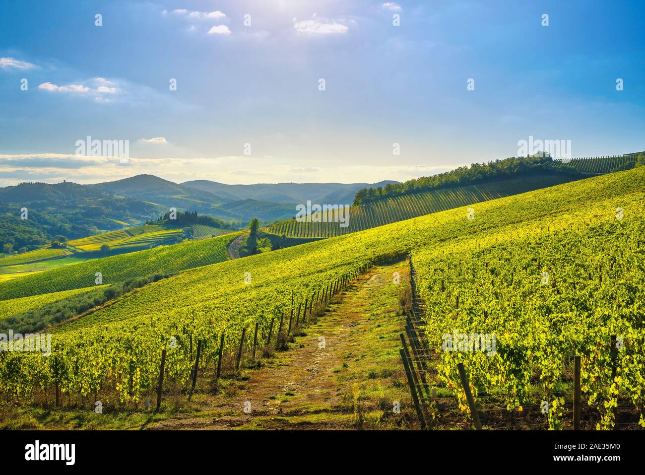 Radda in Chianti vigneto e il panorama al tramonto in autunno. Toscana, Italia Europa. Foto Stock