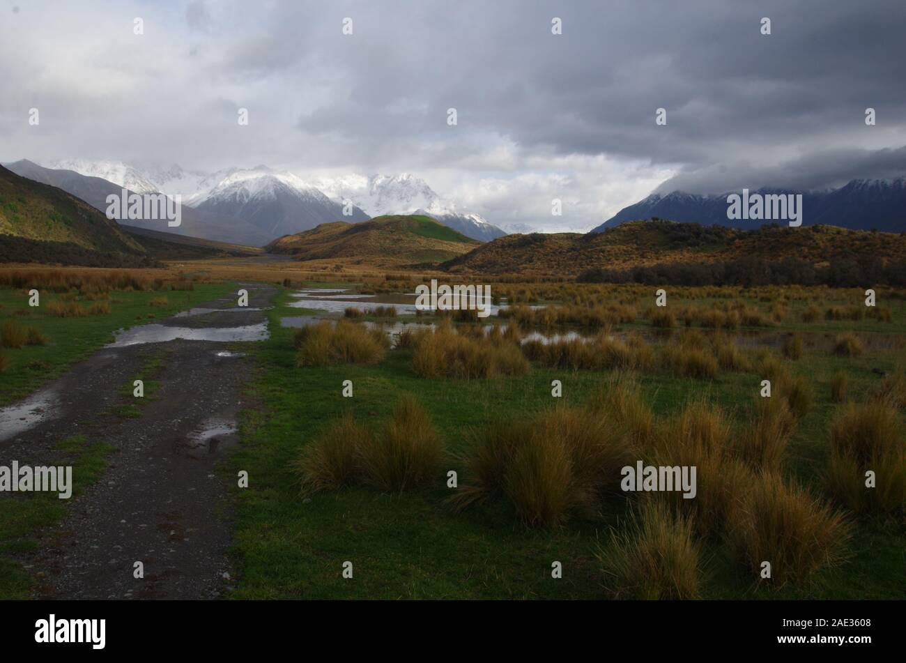 Te Araroa Trail. Isola del Sud. Nuova Zelanda Foto Stock