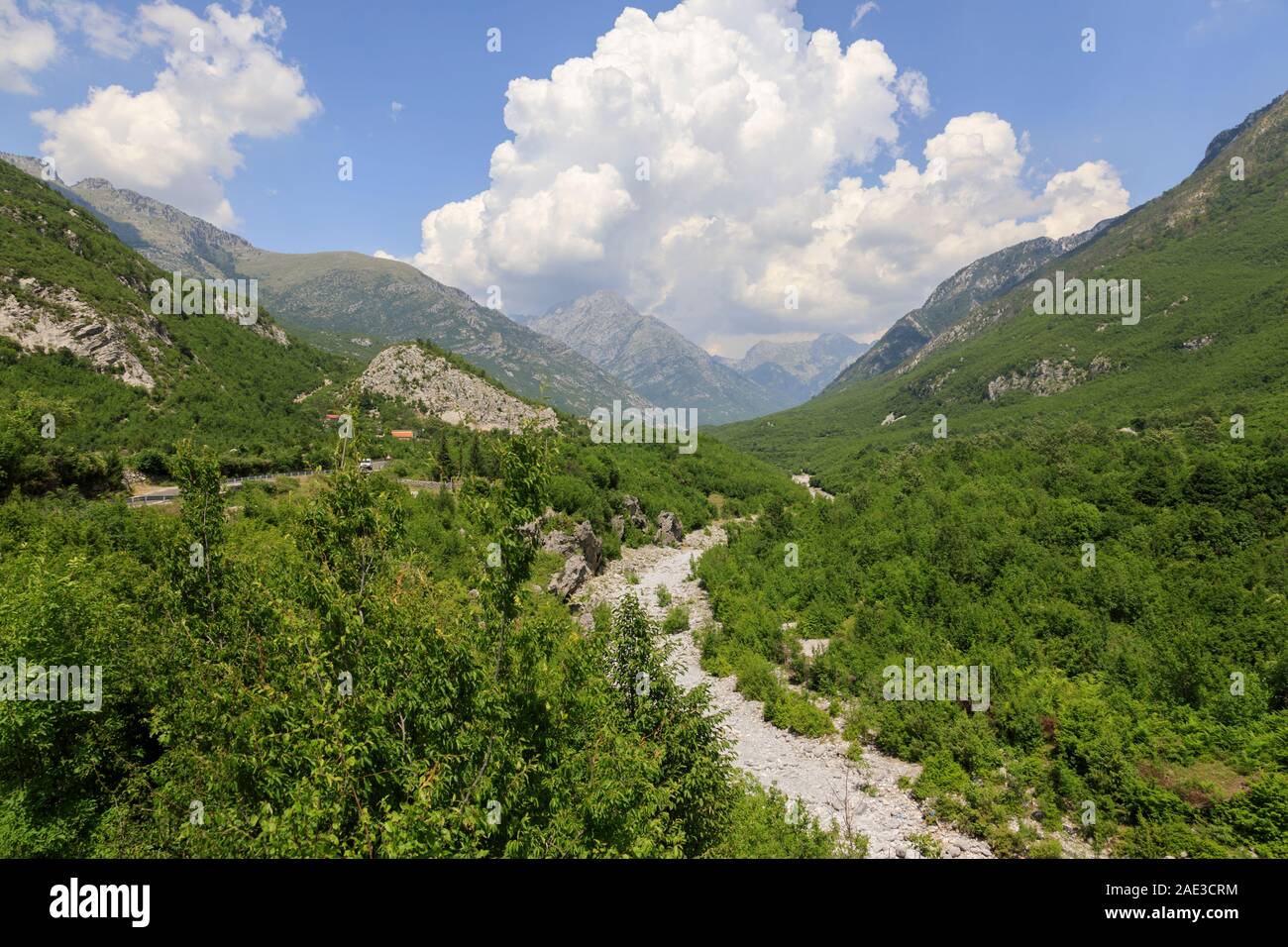 Paesaggio fertile nelle Alpi Dinariche con il verde dei boschi sulla strada da shkodar a theth in Albania Foto Stock