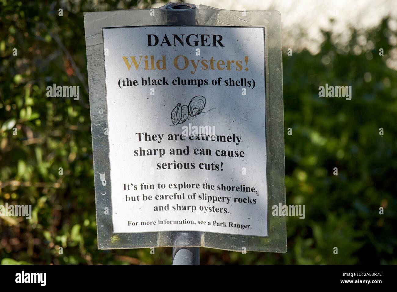 Segnale di avvertimento circa sharp gusci di ostriche selvatiche matanzas fiume costiera del parco florida usa Foto Stock