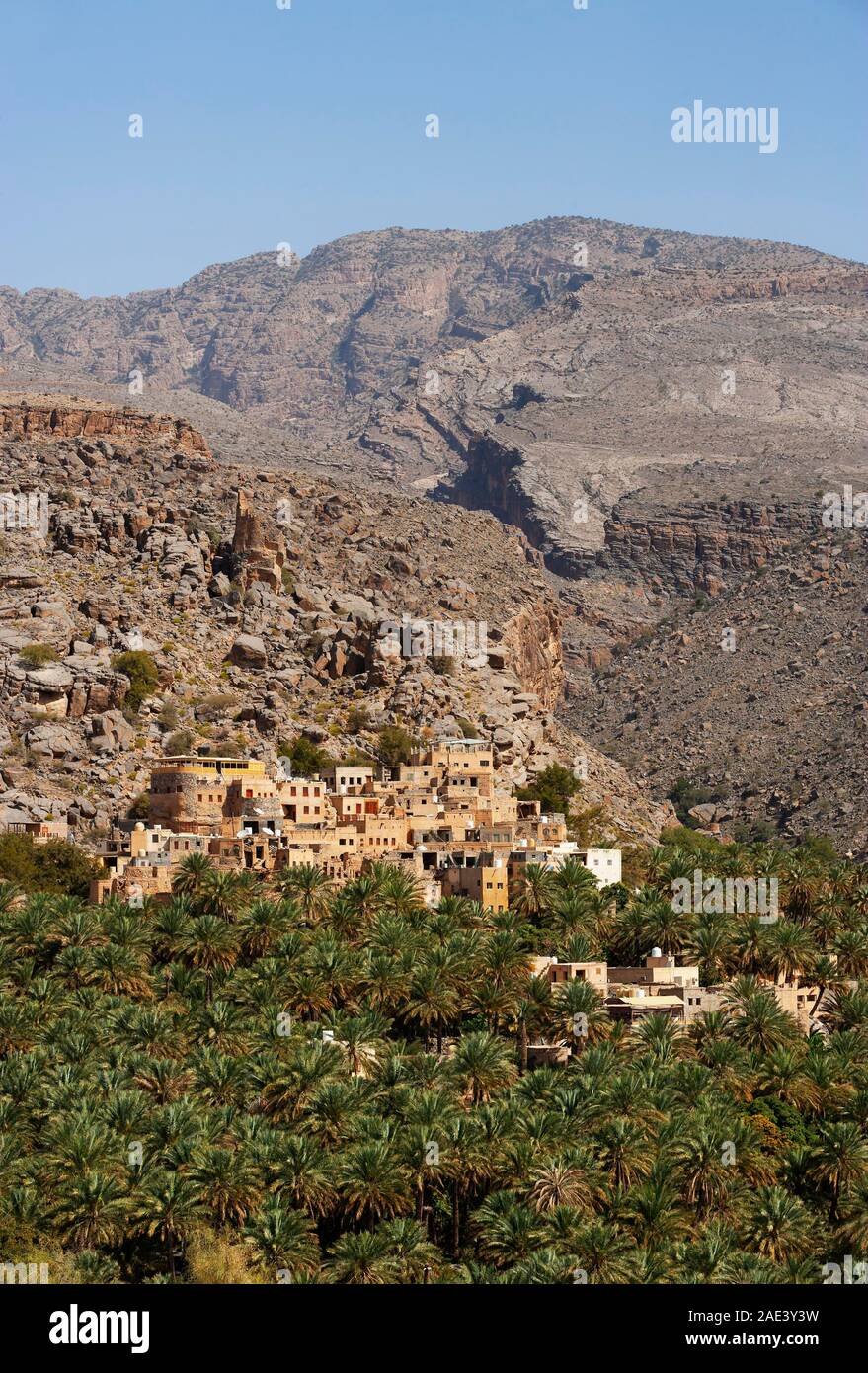 Il Palm grove, Misfat al Abriyyin, Ad Dakhiliyah regione, Oman Foto Stock