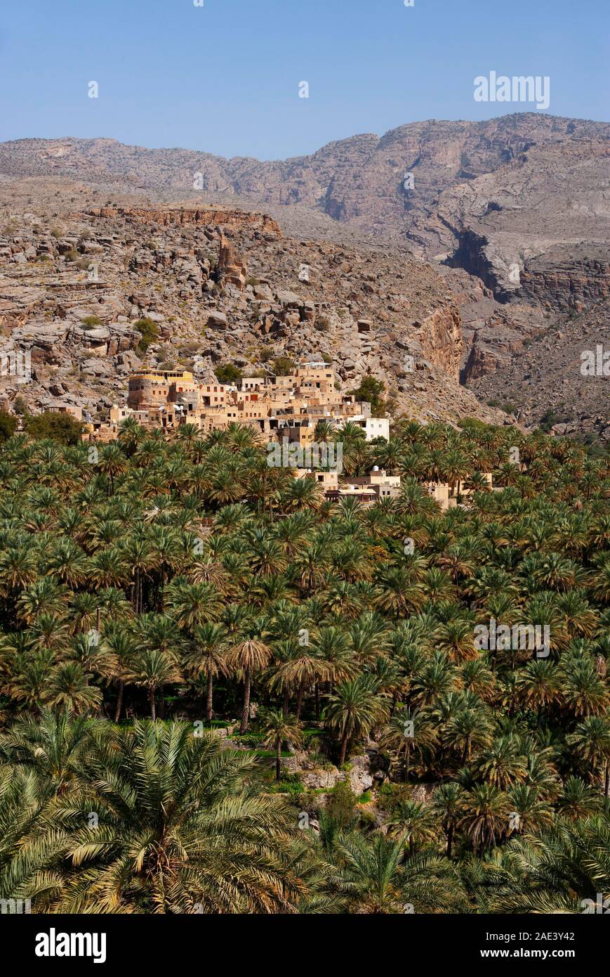 Il Palm grove, Misfat al Abriyyin, Ad Dakhiliyah regione, Oman Foto Stock