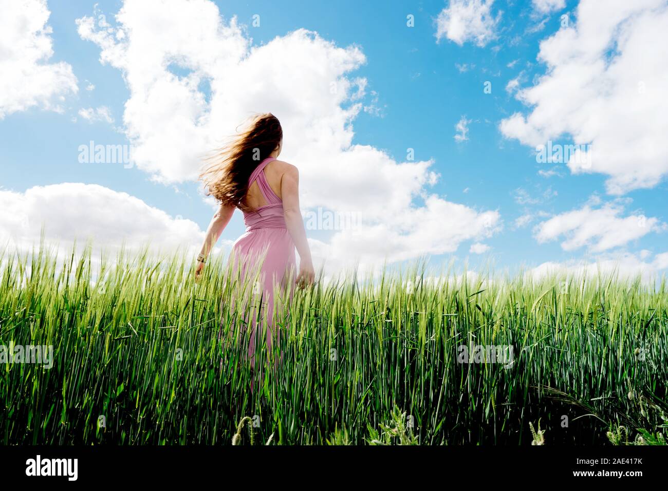 Con i capelli lunghi donna in un abito su un campo di grano blu Foto Stock