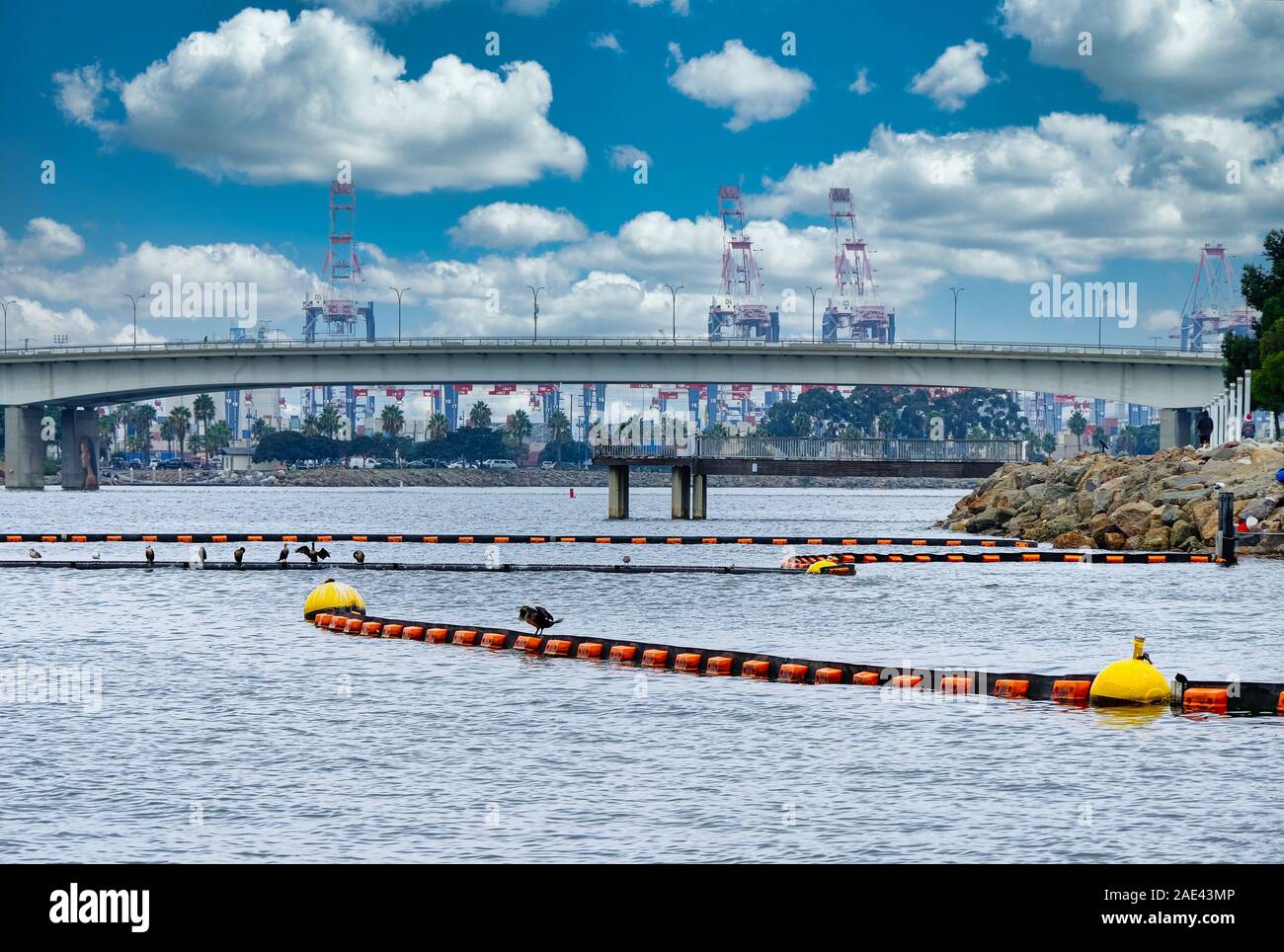 Impurità fluttuanti barriere nel porto Foto Stock