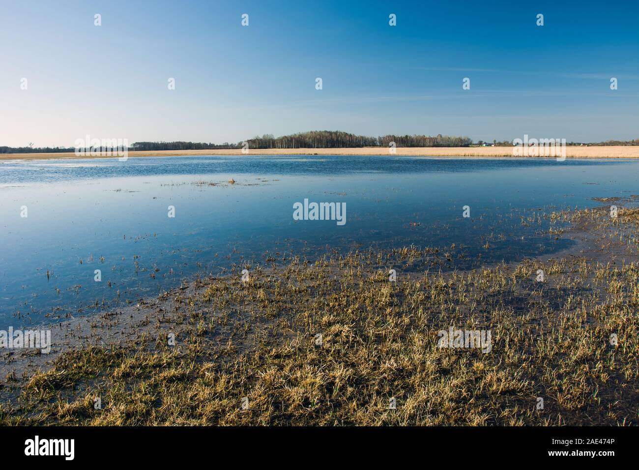 Acqua su un prato, orizzonte e cielo, vista a molla Foto Stock