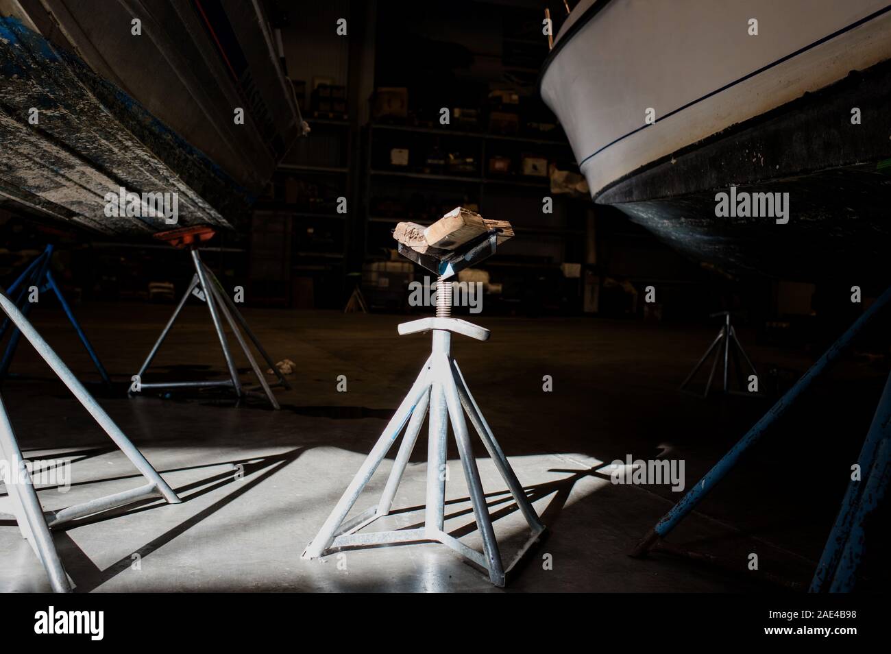 Polestat in un magazzino di Marino Foto Stock