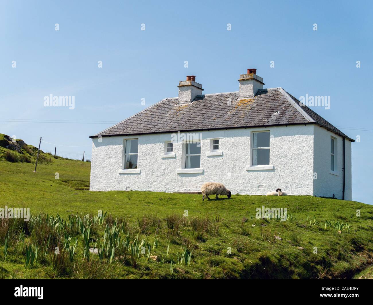 Pebbledashed imbiancati e Balerominmore Casa per le vacanze sull'Isola di Colonsay, Scotland, Regno Unito Foto Stock