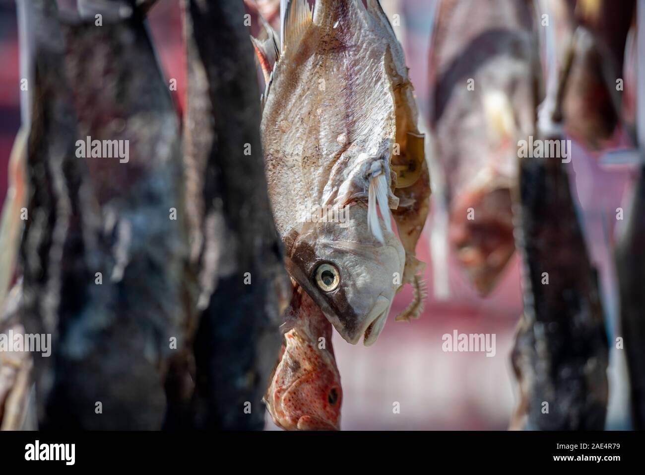 Essiccazione di pesce sul lungomare dell'Isola di Hong Kong è il porto di Aberdeen Foto Stock