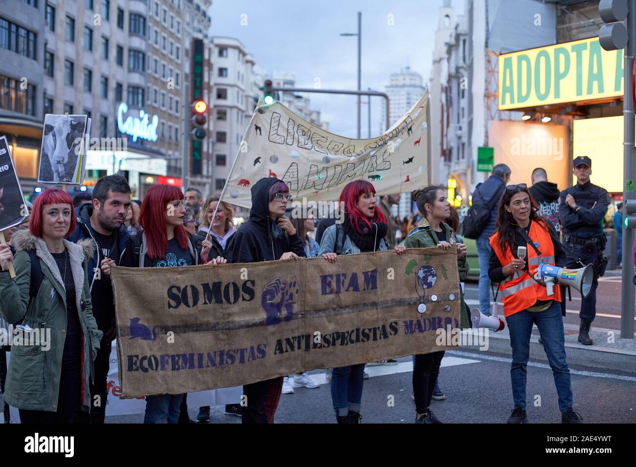 Un gruppo femminista di benessere degli animali manifestanti porta un banner lungo la Gran Via, Madrid. Foto Stock