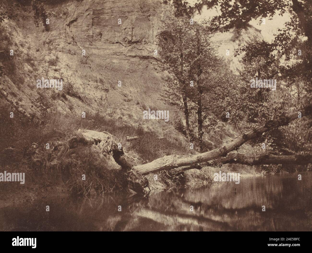 Riverbank; circa 1855 data Frank Chauvassaigne, Riverbank, c 1855 Foto Stock