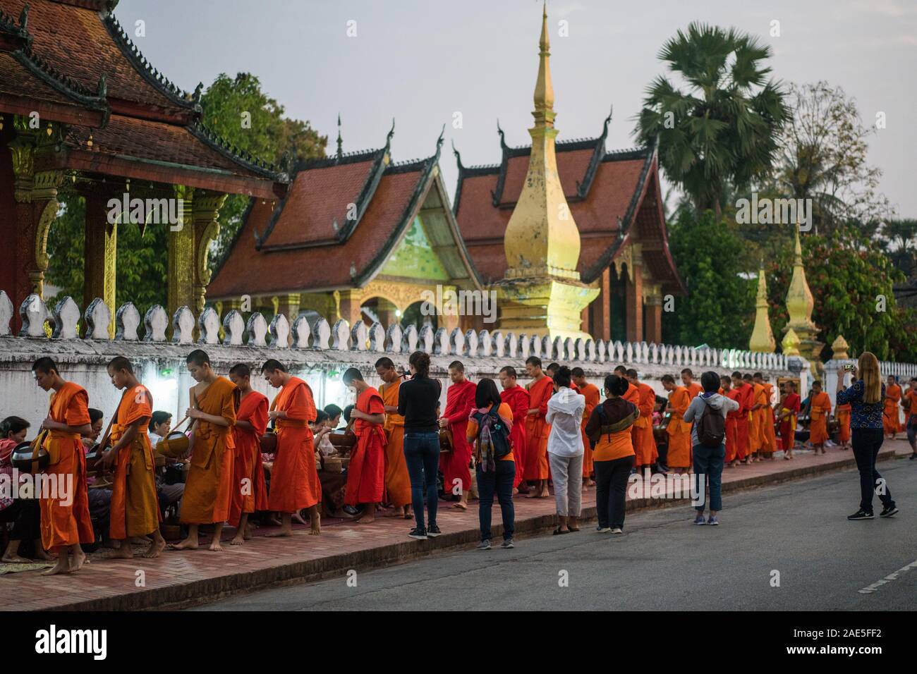 Processione dei monaci a Luang Prabang, Laos, Asia. Foto Stock