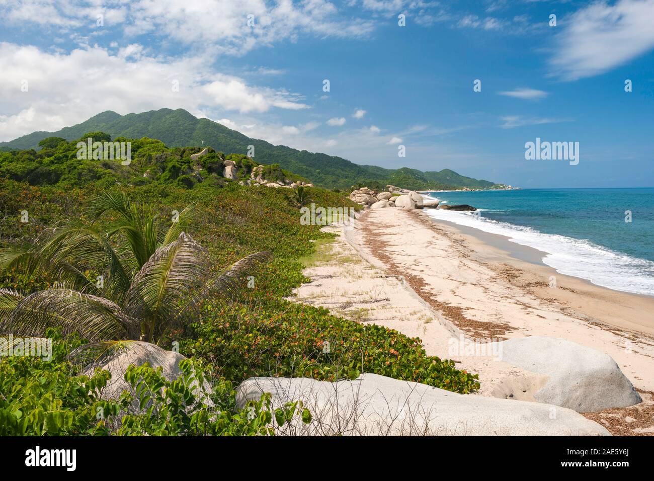 Paesaggio PAESAGGIO nel Parco Nazionale Tayrona vicino a Santa Marta in Colombia. Foto Stock