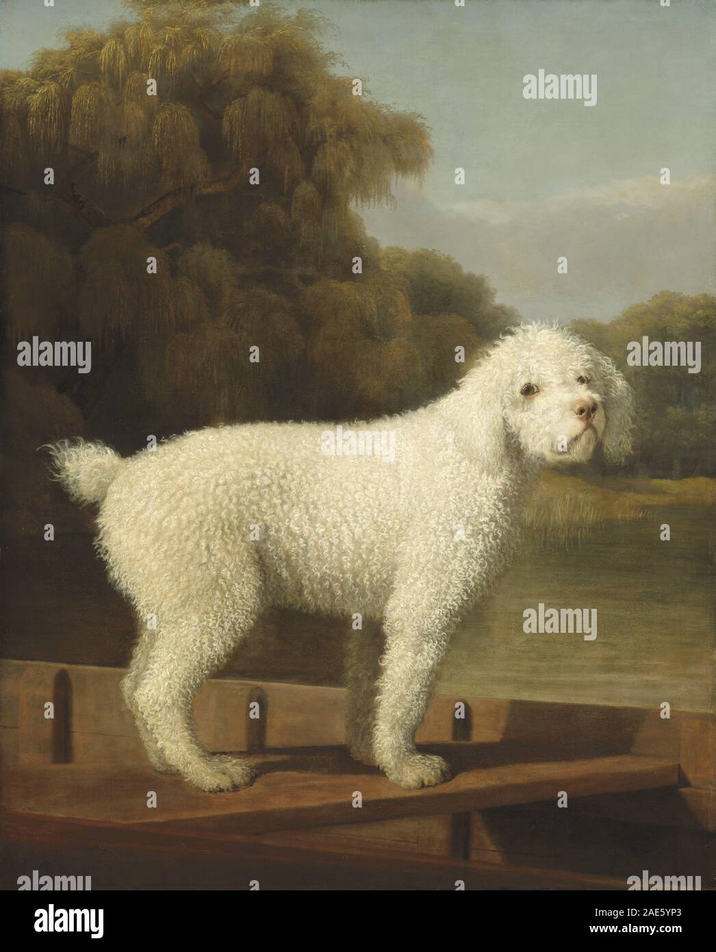 Un dipinto del 1780 di George Stubbs che mostra un barboncino bianco in un punt, raffigurante il cane, la barca, l'acqua, i riflessi, gesti e ritratti di animali britannici del tardo XVIII secolo. Foto Stock