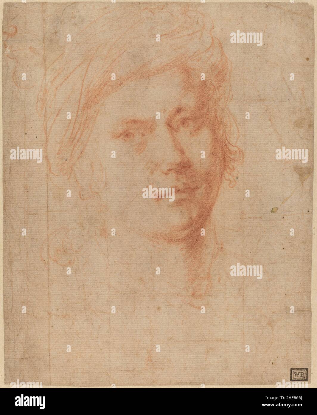 Head of a Youth di Alessandro Allori raffigura una giovane figura maschile con dettagli facciali ed espressioni realistiche, illustrando tecniche di ritrattistica rinascimentale e stile artistico umanista. Foto Stock