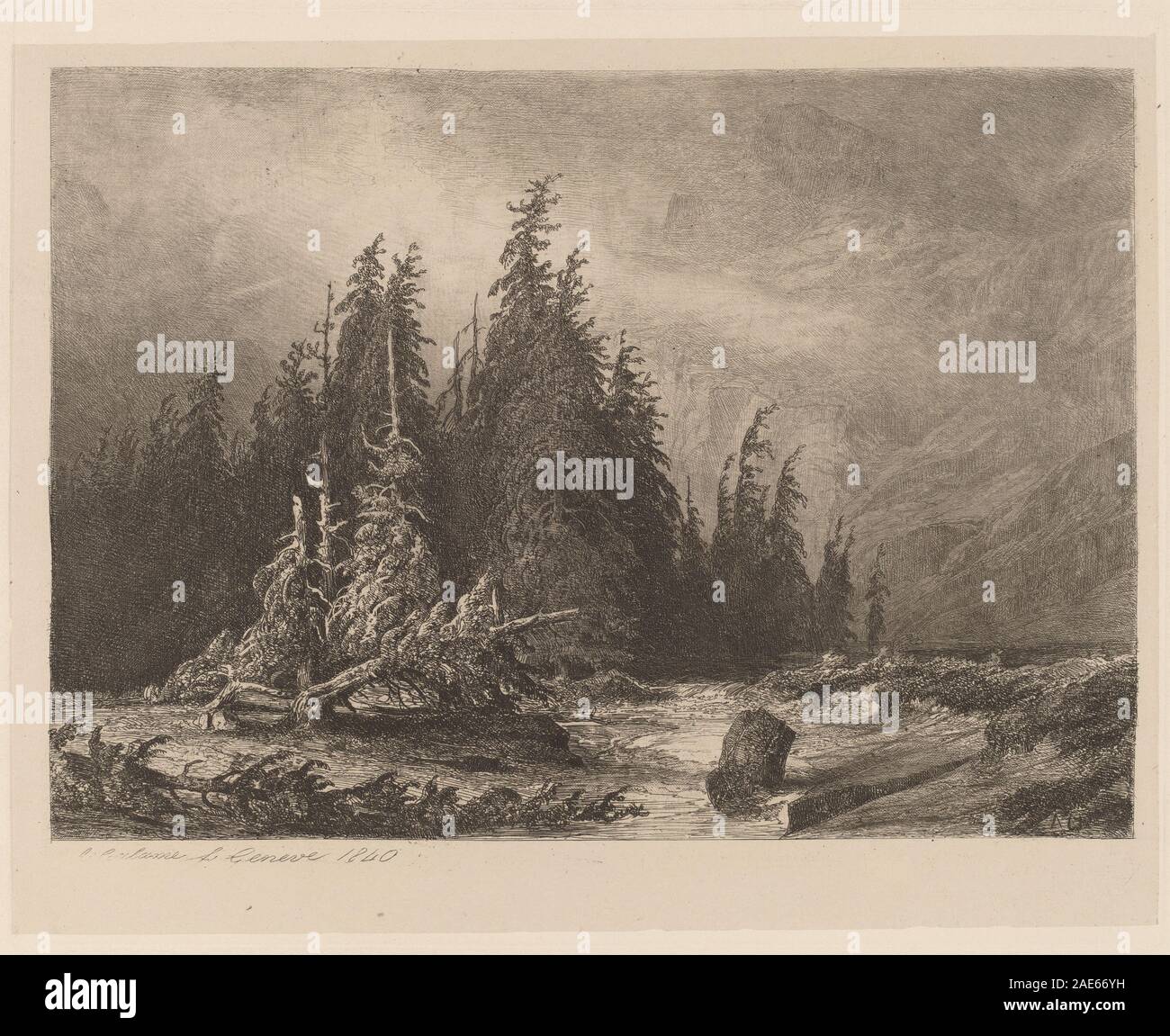 Pini di montagna; 1840data Alexandre Calame, pini di montagna, 1840 Foto Stock