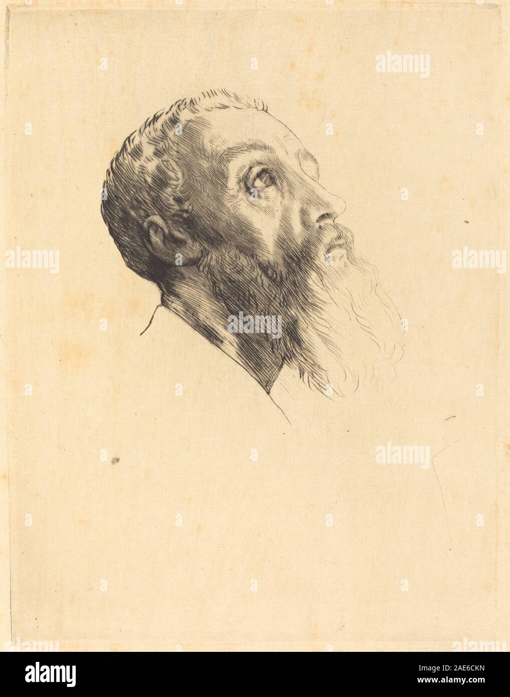 Un disegno di Alphonse Legros raffigurante la testa di un modello, che mostra la struttura facciale dettagliata, l'espressione, i capelli e l'ombreggiatura, concentrandosi sull'anatomia umana accurata e sulla ritrattistica realistica. Foto Stock