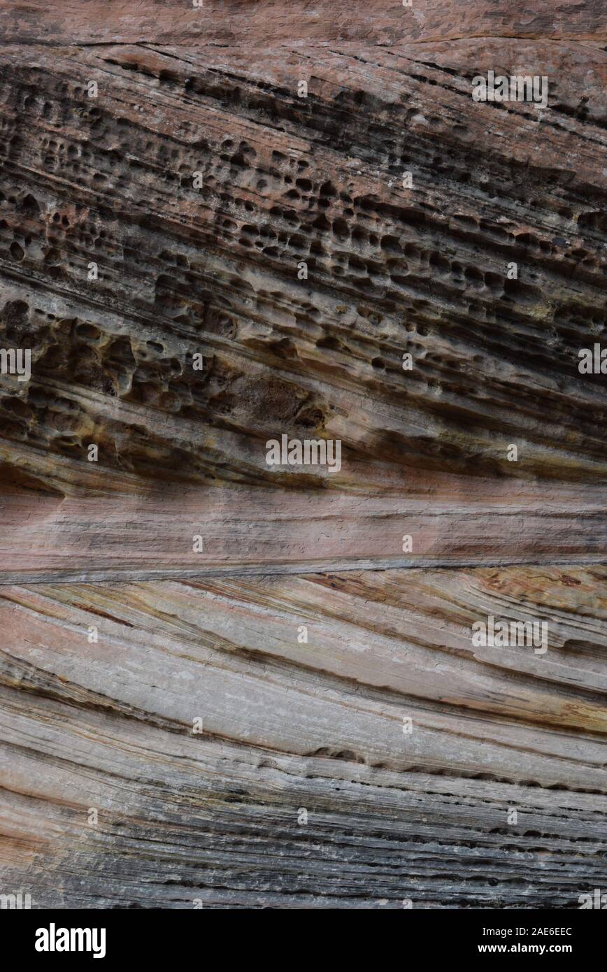 Nel corso di milioni di anni, l'acqua ha inciso profonde scanalature in pietra arenaria a Zion National Park. Foto Stock