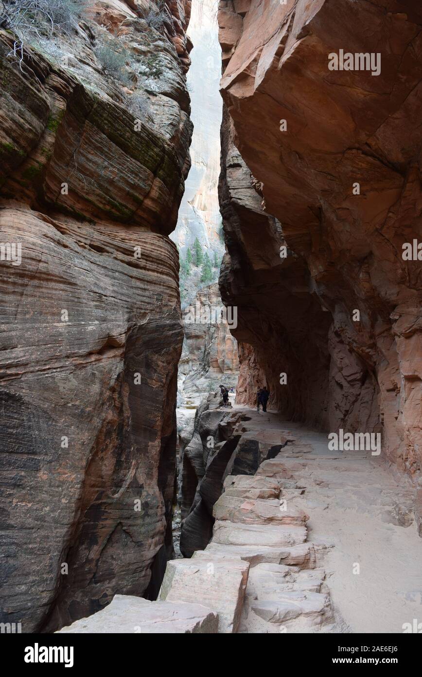 Gli escursionisti fanno la loro strada attraverso Echo Canyon back down to Zion Canyon pavimento di migliaia di piedi sotto. Foto Stock