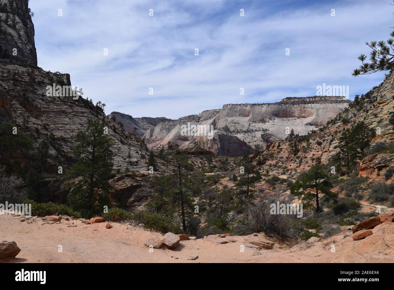 Vista del Canyon Zion a metà strada per la East Mesa Trail, Parco Nazionale di Zion. Foto Stock