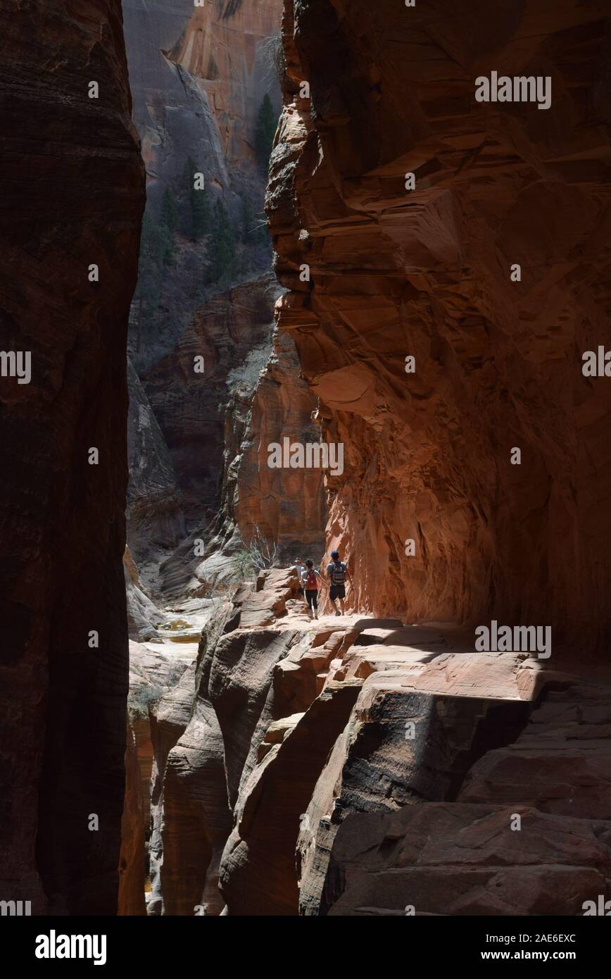 Luce lambisce le pareti di pietra arenaria di Echo Canyon. Durante la passeggiata al punto di osservazione, il Parco Nazionale di Zion. Foto Stock