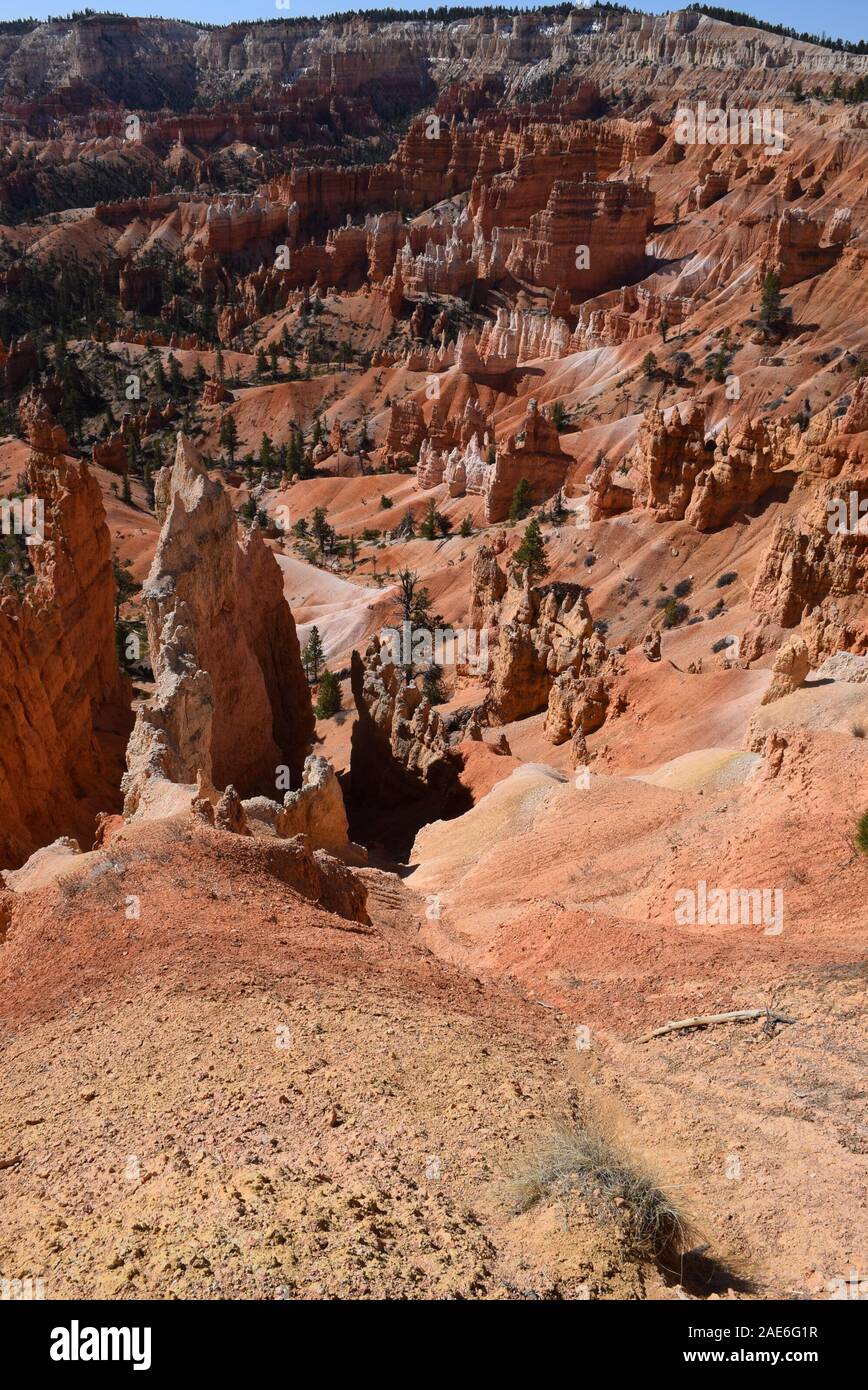 Hoodoos al Bryce Canyon anfiteatro; il risultato di milioni di anni di erosione. Preso dalla Queen's Garden trail. Foto Stock