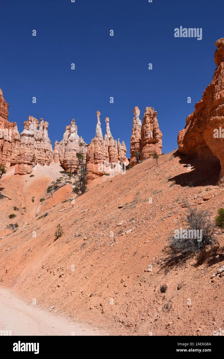 Le hoodoos di Bryce Canyon, formato da milioni di anni di attività geologiche e di erosione. Foto Stock