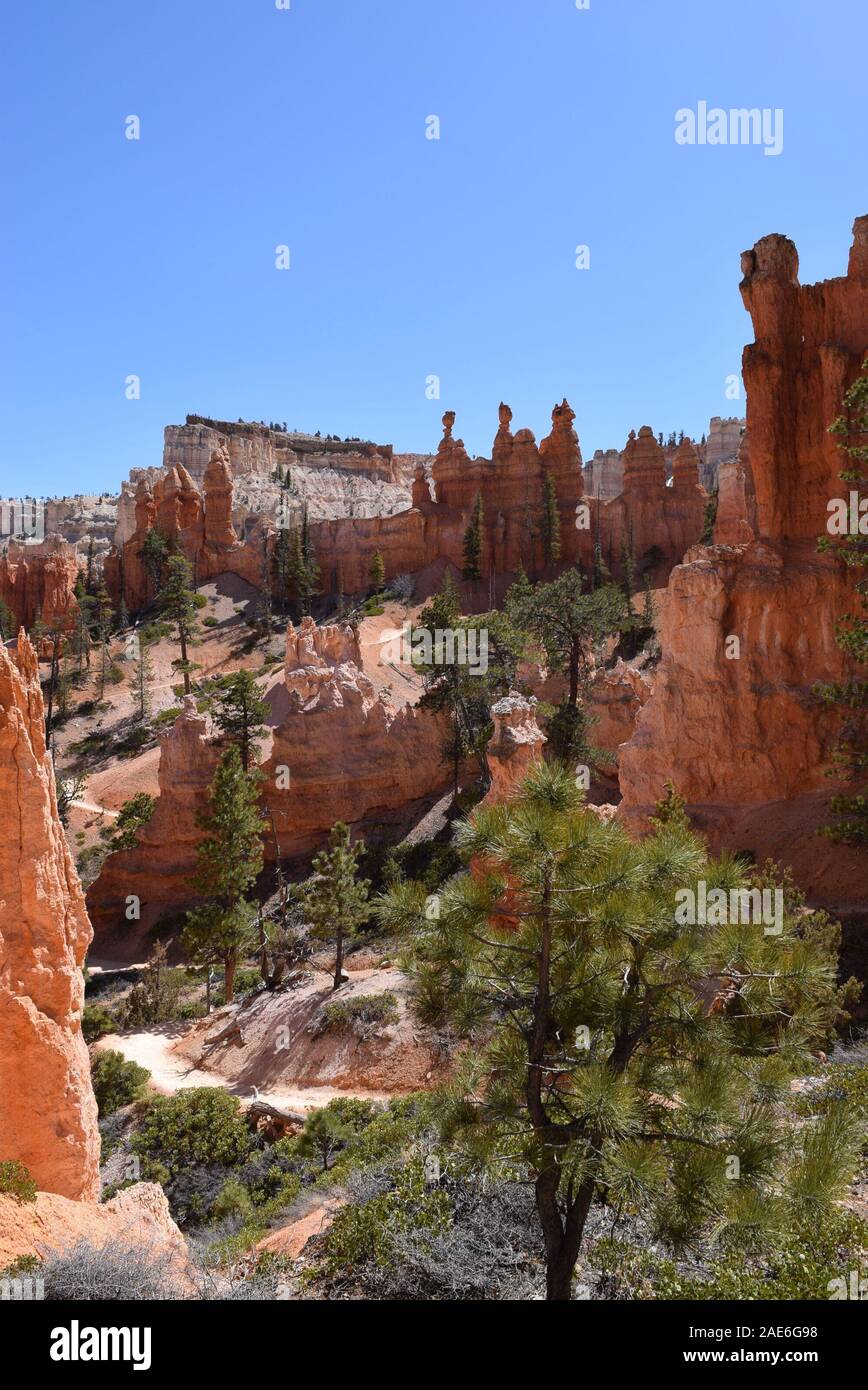 Alcuni dei numerosi hoodoos presente a Bryce Canyon, formata attraverso milioni di anni di attività geologiche sull'altopiano del Colorado. Foto Stock