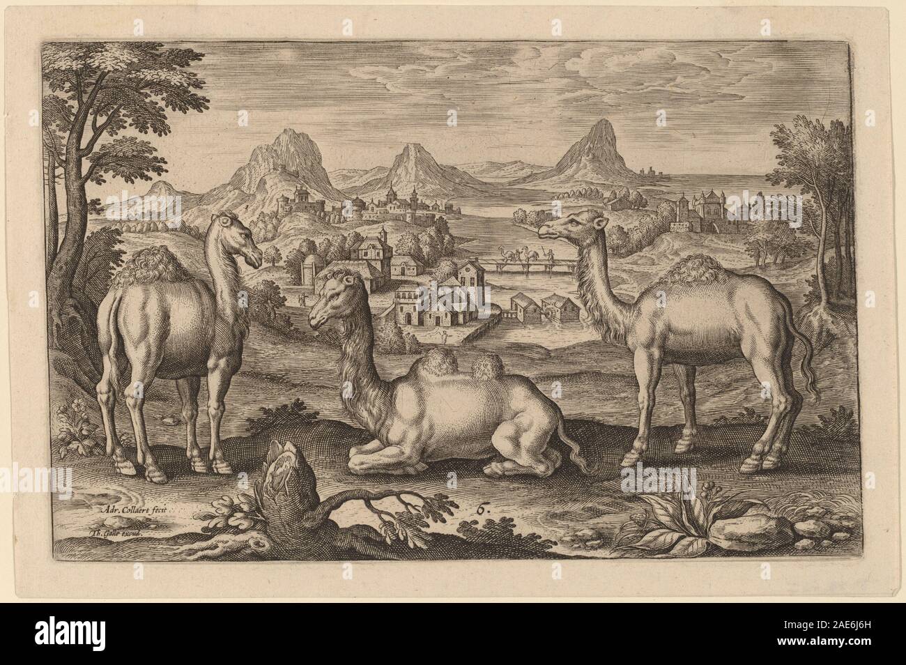 Animalium Quadrupedum Adriaen Collaert, Animalium Quadrupedum Foto Stock