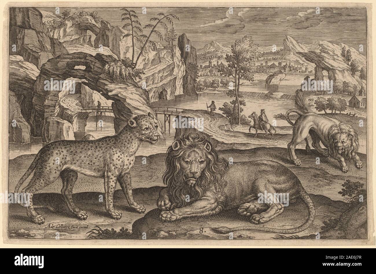 Raffigura vari animali quadrupli, illustrando anatomia e postura. Creato da Adriaen Collaert, enfatizza l'osservazione scientifica e artistica degli animali. Foto Stock