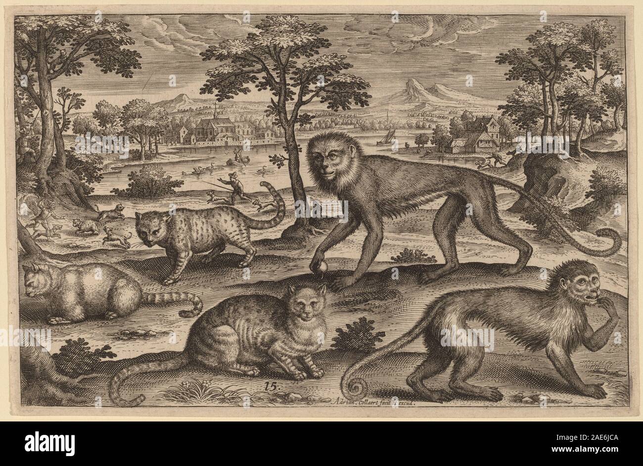 Una stampa di Adriaen Collaert che mostra animali quadrupli, raffiguranti dettagli anatomici, pose, pellicce, artigli, e forme naturalistiche. Foto Stock