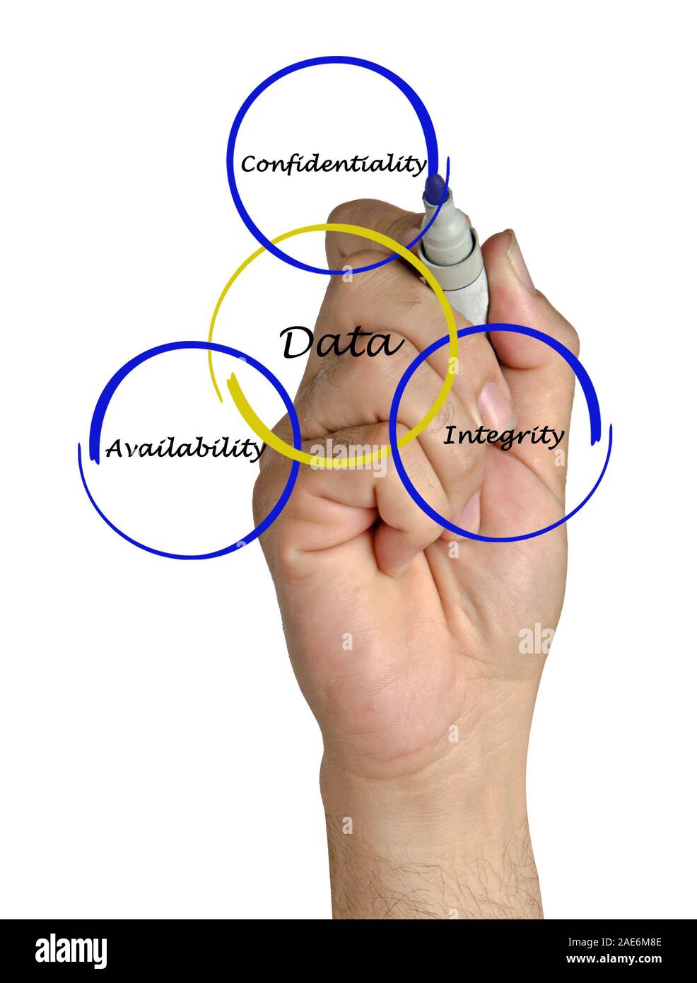 I principi della gestione dei dati Foto Stock