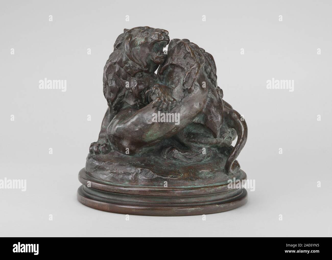 Una scultura in bronzo di due giovani leoni di Antoine-Louis Barye, modellata nel 1832-1838 e fusa nel 1873, che mostra figure animali, dettagli naturalistici e colata in bronzo francese del XIX secolo. Foto Stock
