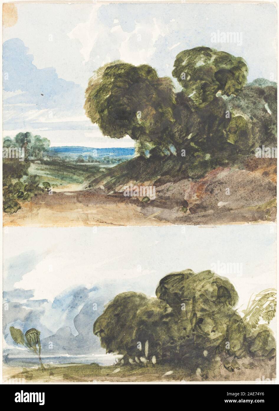 Due schizzi di alberi attribuito a James Bulwer, due schizzi di alberi Foto Stock