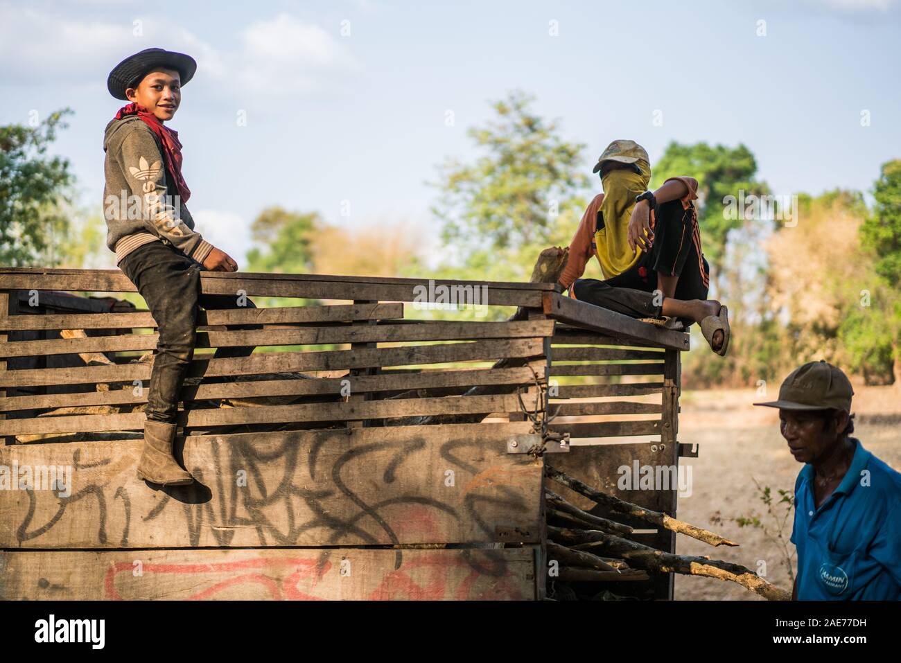 I ragazzi caricare il legno in un carrello, 4000 isole, Laos, Asia Foto Stock