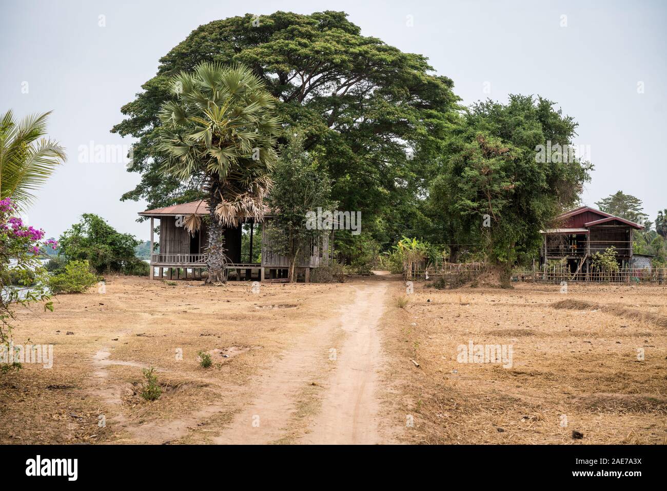 4000 isole, Laos, Asia. Foto Stock