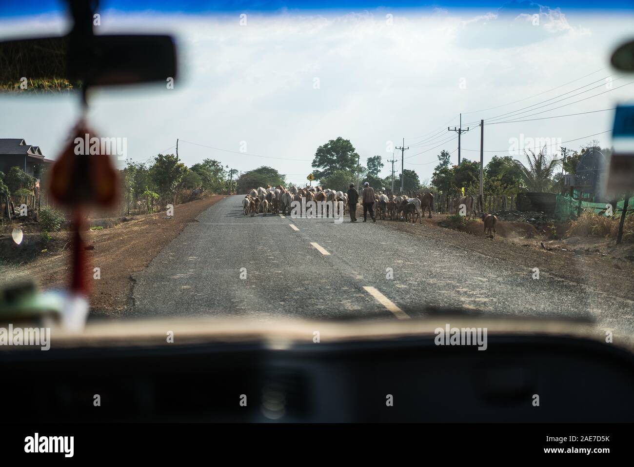 4000 isole, Laos, Asia. Foto Stock