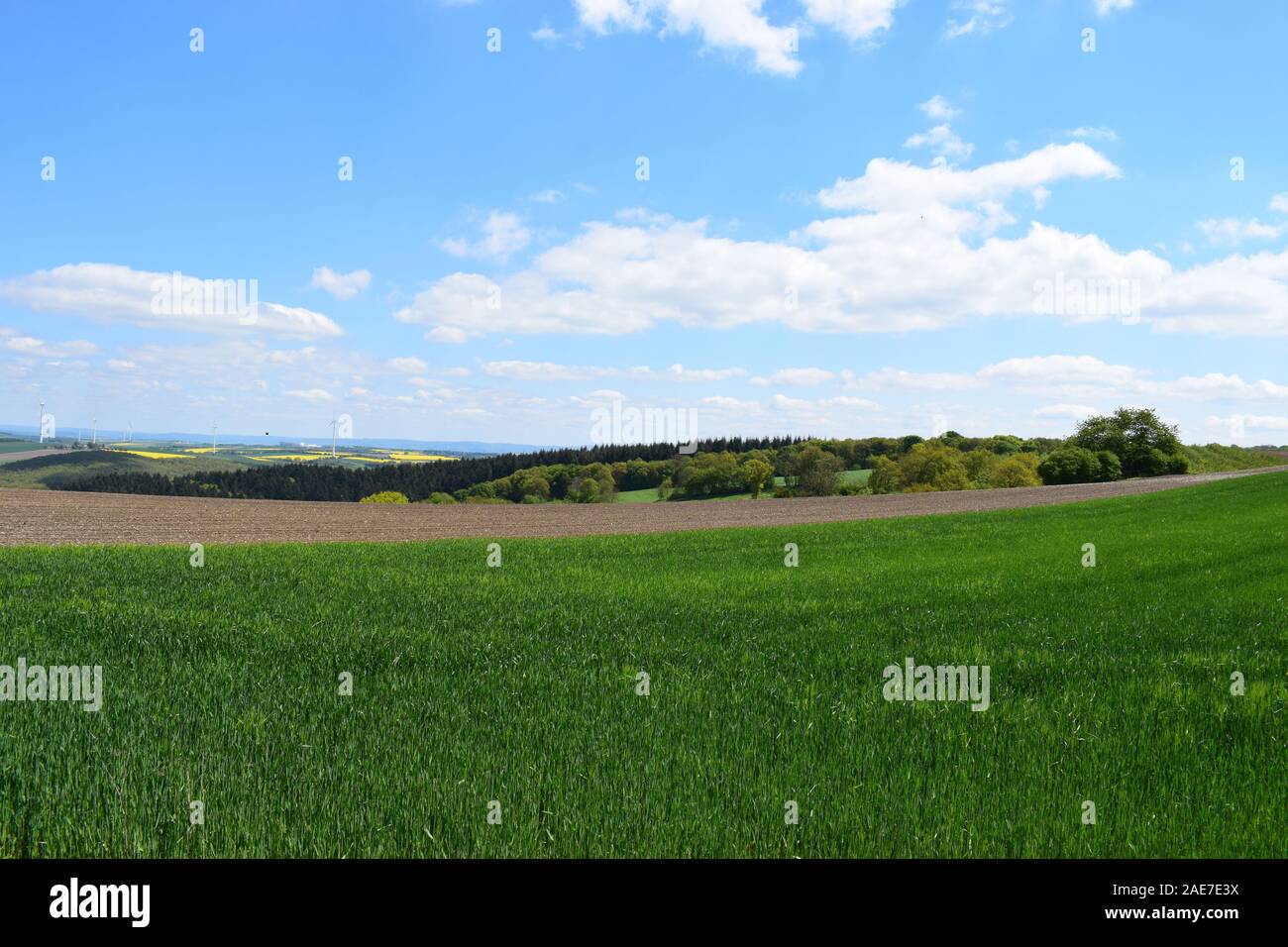 Eifel paesaggio in primavera Foto Stock