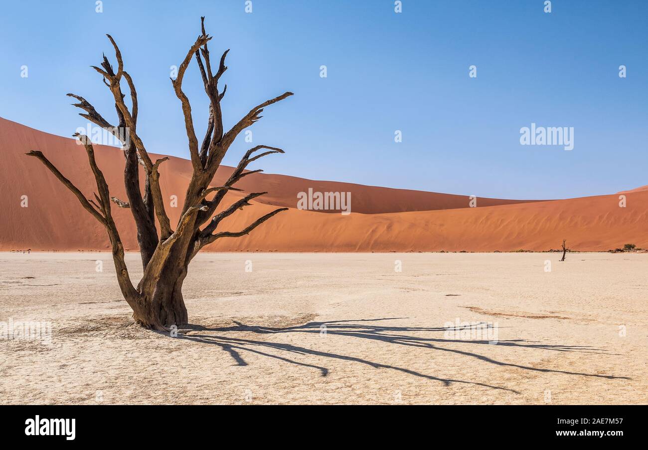 Struttura Sossusvlei nel deserto con le dune in background Foto Stock