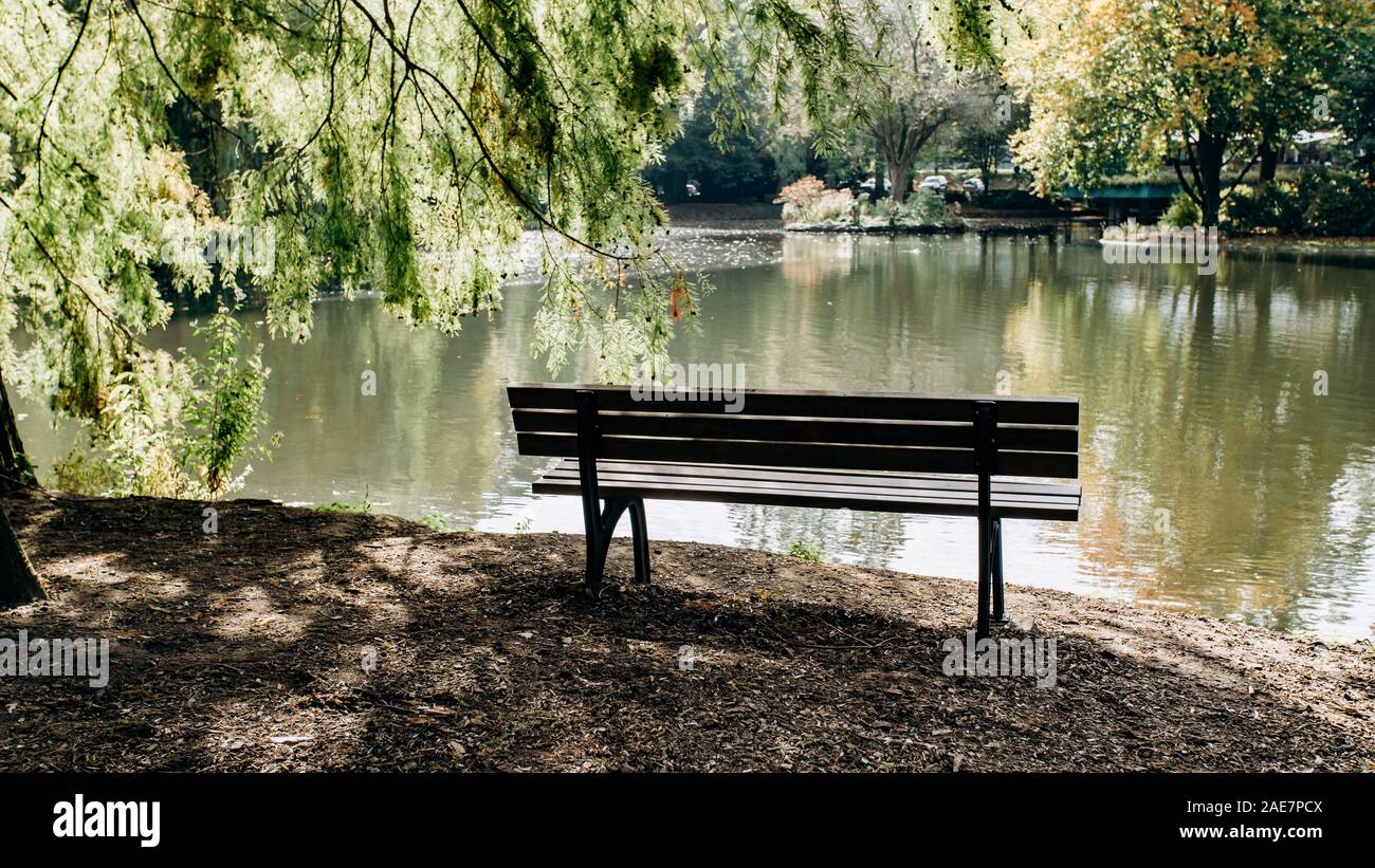 Banco vuoto sulla riva del lago incorniciato da alberi e con una bellissima vista del lago la costa Foto Stock