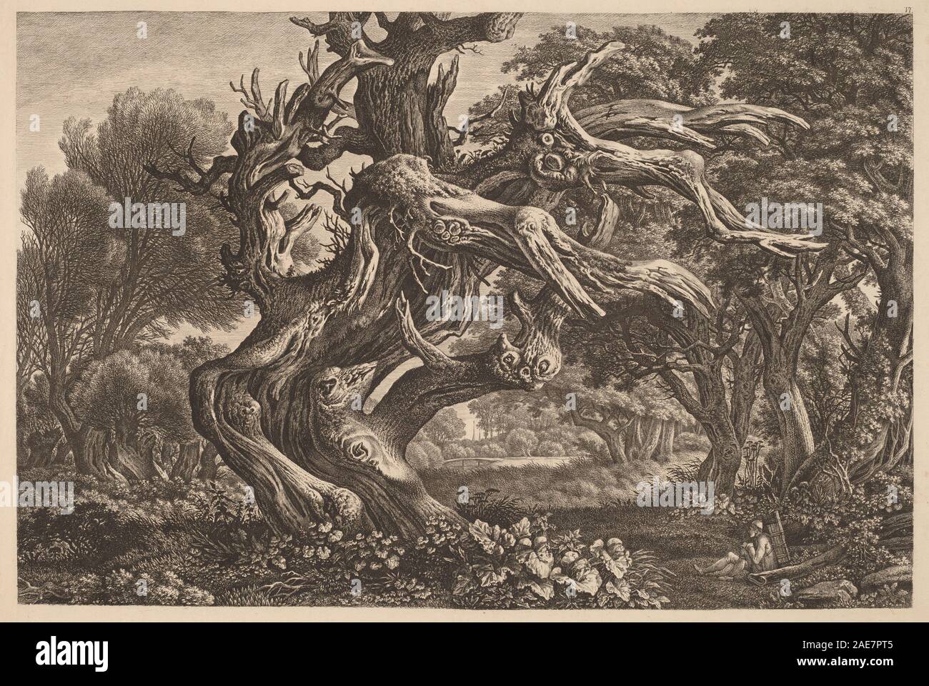 Disegno di una quercia morta di Carl Wilhelm Kolbe intorno al 1830, che mostra tronco, rami, consistenza, condizione senza foglie, e il contesto naturale del paesaggio. Foto Stock