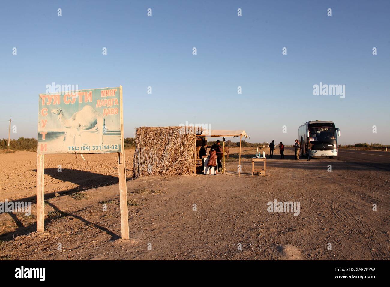 Strada latte di cammello stallo in Uzbekistan Foto Stock