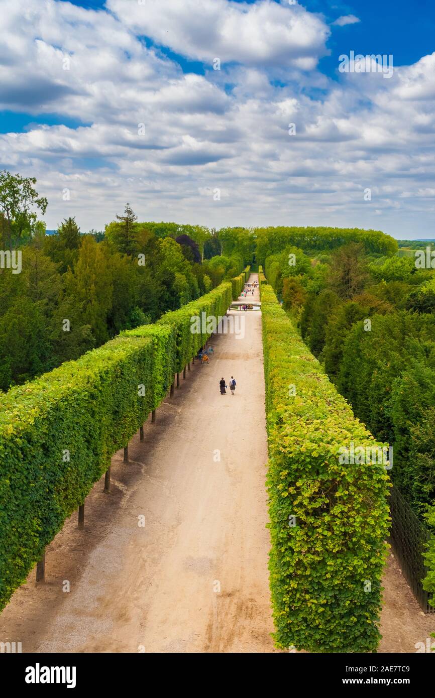 Antenna impressionante vista verticale del Bacco e Saturno alley con alte caratteristiche geometriche formate gli alberi del giardino di Versailles in una bella giornata estiva con... Foto Stock